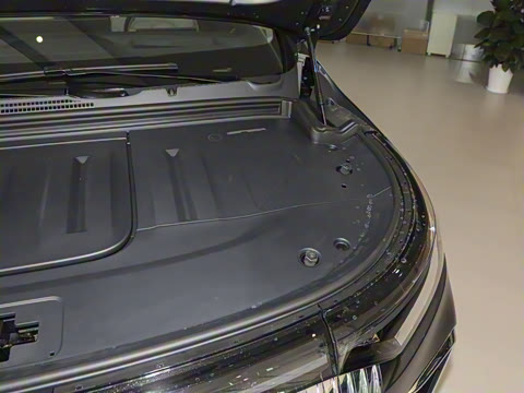 2025�� EV �������������