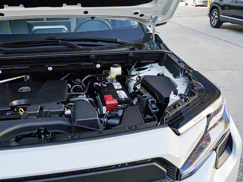 2026�� 2.0L ����������