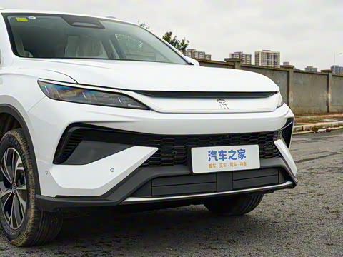 2026�� DM-i 133KM��Խ��