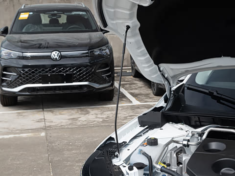 2026�� ������