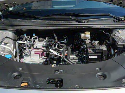 2026�� ������