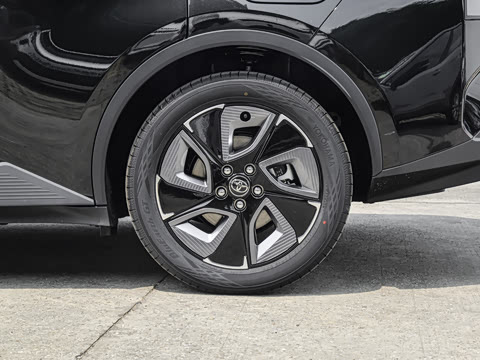 2026�� ������ JOY