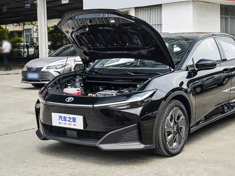 2026�� ������ JOY