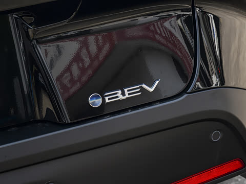 2026�� ������ JOY