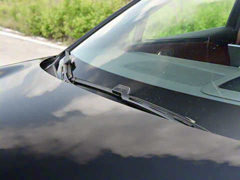 2025�� �Ŀ� 350 Max���������״��