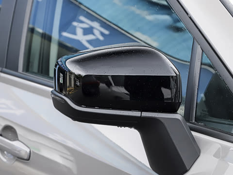 2026�� 2.0L ���ܵ��˫�� PRO