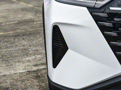 2025�� 290T ��������+