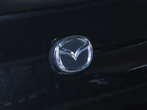 2025�� 2.0L �Զ���ҫ��