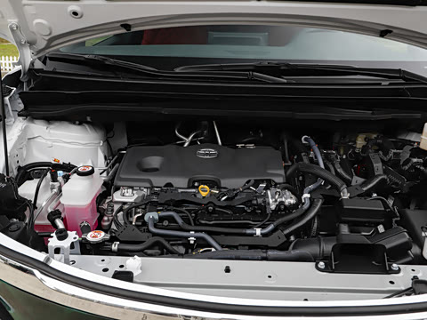 2026�� 2.5L ����׿��318��