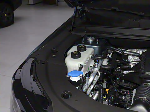 2026�� 121km ���ʰ� 5��