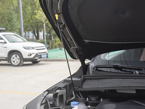 2026�� ���Ĵ� ������ 1.5T ���������