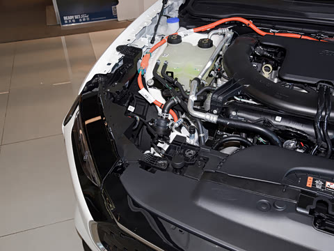 2026�� 2.0T EcoBoost E �춯 �˶���