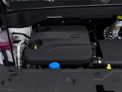 2026�� �ǻ������� 130km ��ȡ��