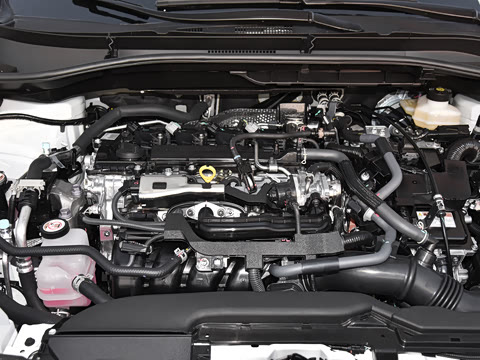 2026�� 2.0L ���ܵ��˫�� ����PLUS��