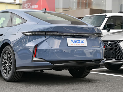 2026�� 300h