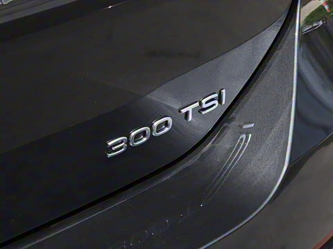 2026�� L 300TSI DSG ������