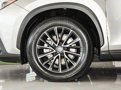 2025�� 350h JOY X