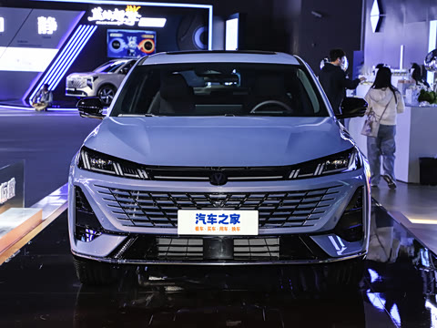 2026�� 1.5L ��϶���