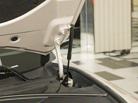 2026�� Max �����