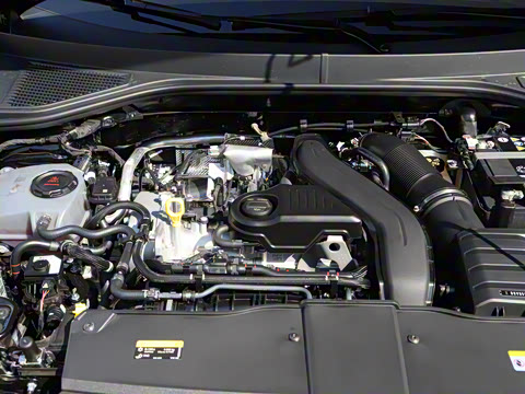 2026�� 300TSI DSG�����ǹ��