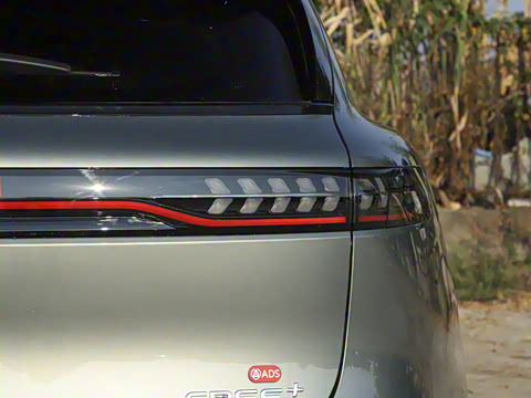 2025�� FREE+ ����Ǭ����