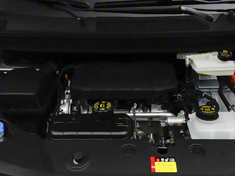 2025�� ��� 125km ������