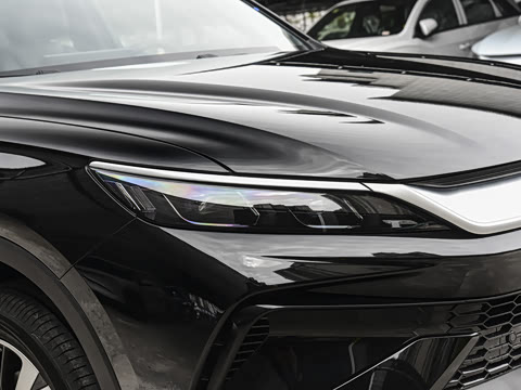 2026�� DM-i 220KM��Խ��