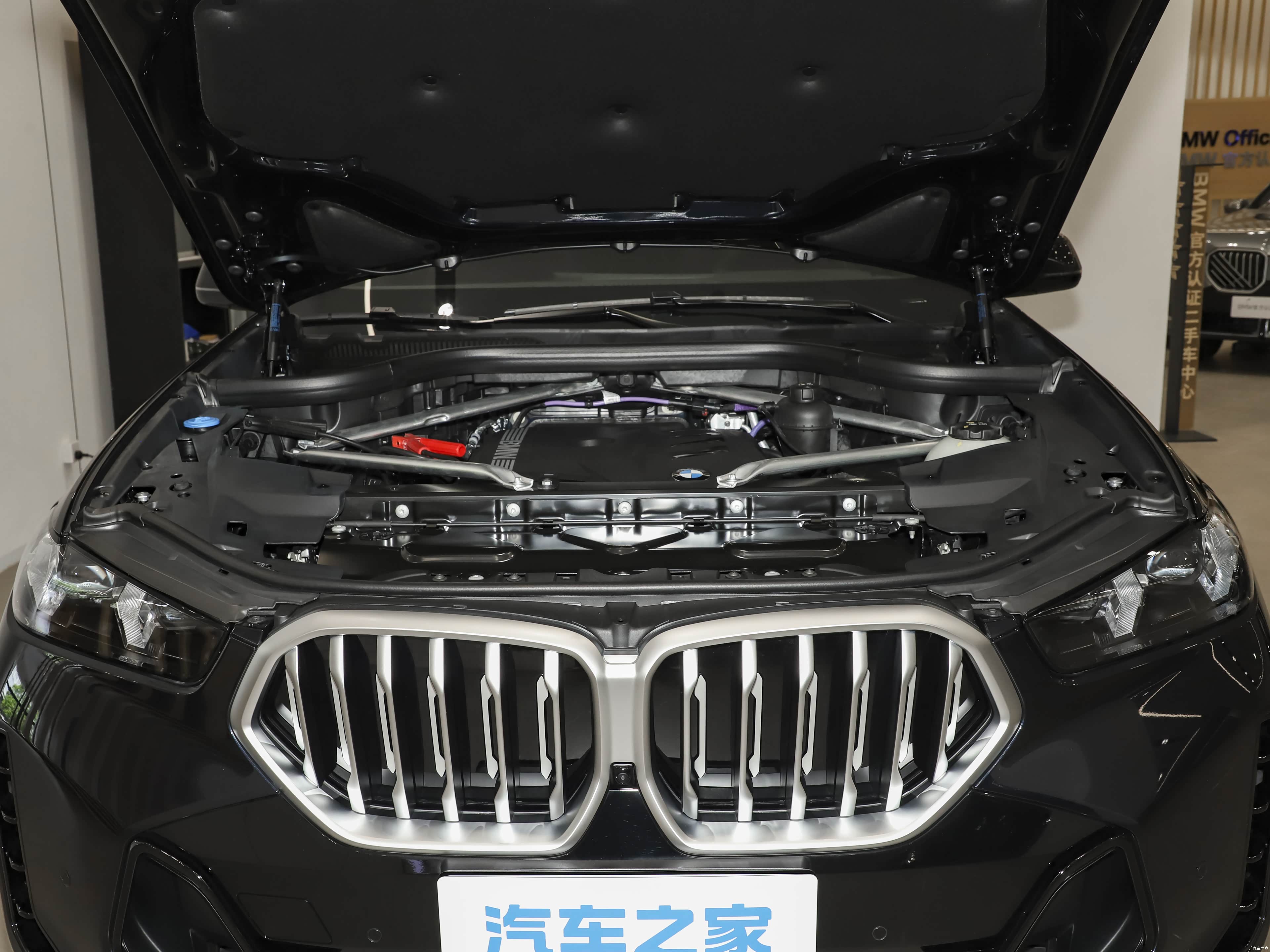 BMW X6, миниатюра 29