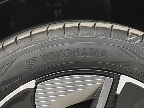 2026�� ������ PRO