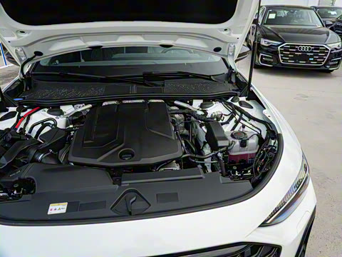 2026�� 2.0T �˶��� Plus