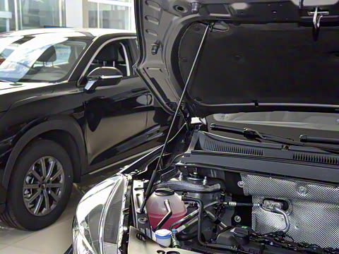 2025�� 1.5L �ֶ���Խ��