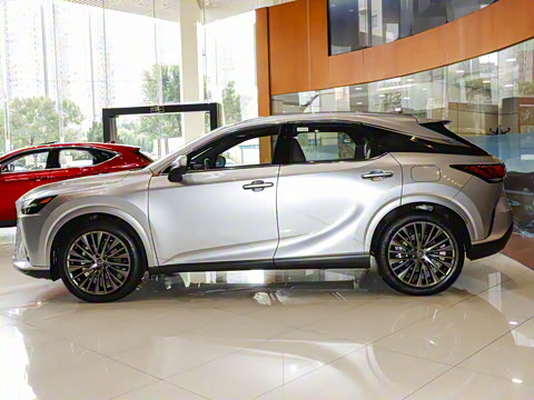 2025�� 350h ����������