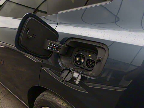 2026�� ������������Plus