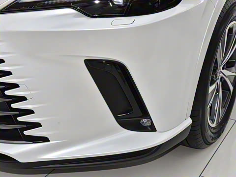 2026�� 300 ����������