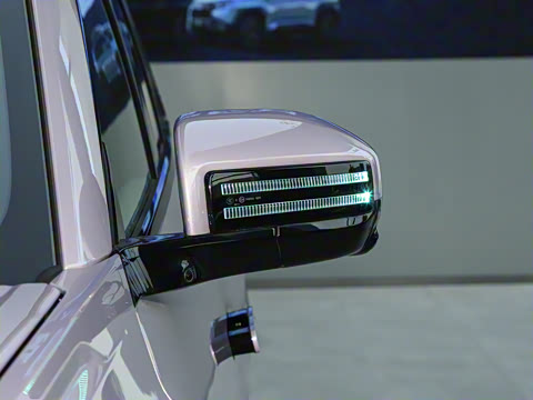 2025�� 501KM ����Max��