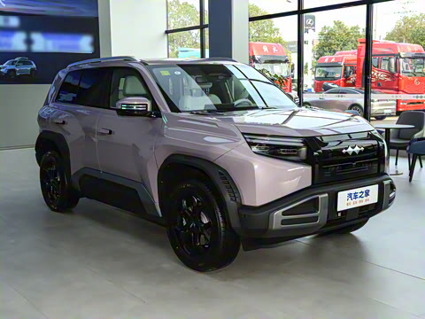 2025�� 501KM ����Max��