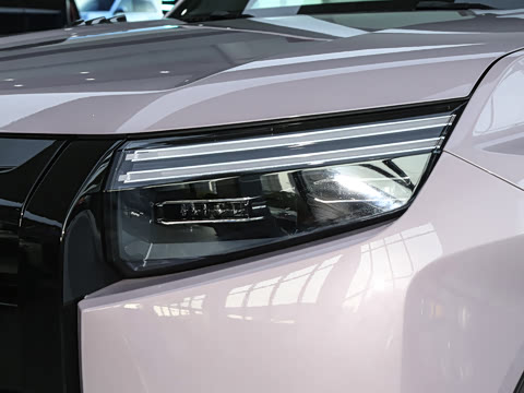 2025�� 501KM ����Max��