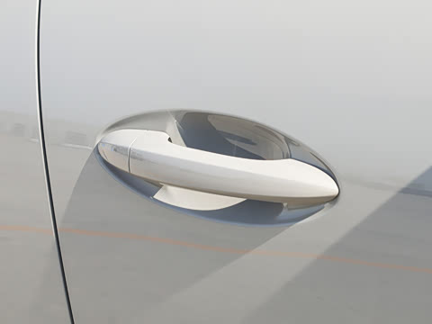 2026�� 290TGDI DCT������ 5��