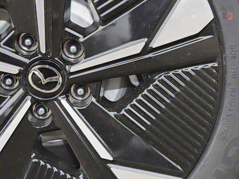 2025�� ����600 Pro