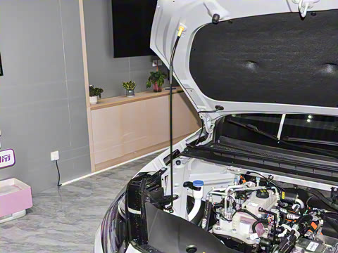 2026�� 520�Ǻ���