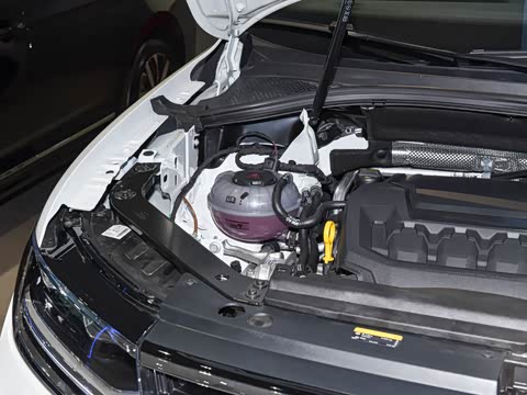 2026�� ���ڿ� 330TSI �Զ�����R-Line��ҫ��