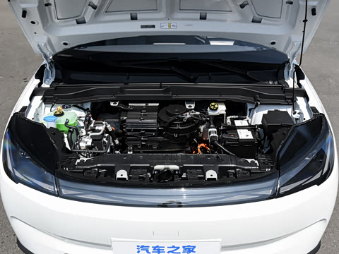 2025�� 425 ����