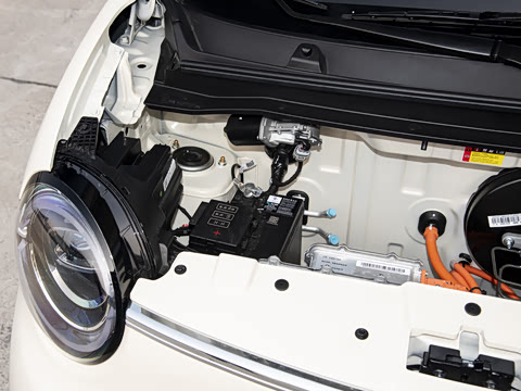 2026�� ����� 301km ���׿�