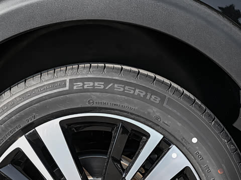 2025�� ������