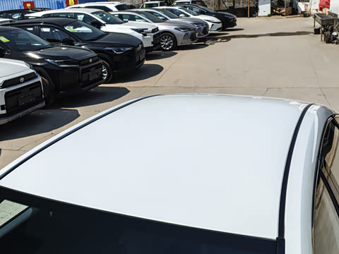 2026�� ������ JOY