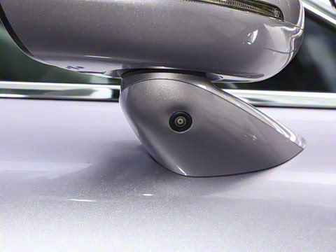 2025�� ���� Max