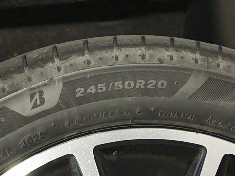 2025�� ���� Max