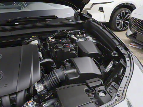 2025�� 2.0L �Զ�������