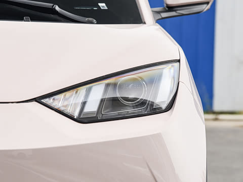 2026�� 305km ������
