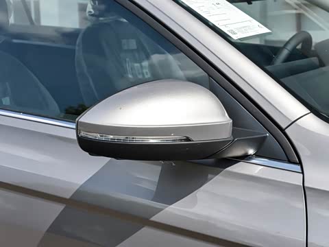 2025�� �Ŀ� 300TSI DSG���а�